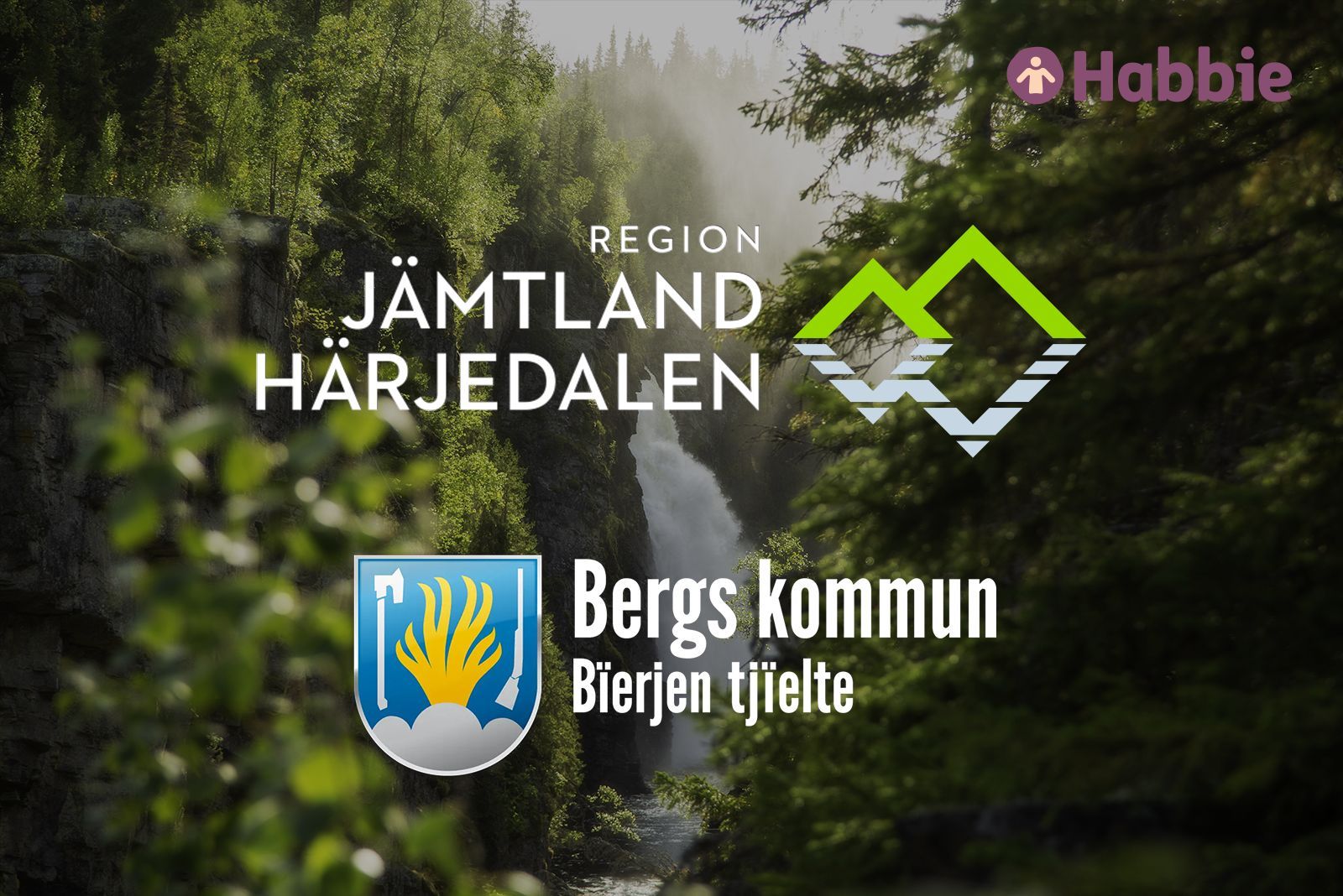 Habbie i samverkan mellan region och kommun
